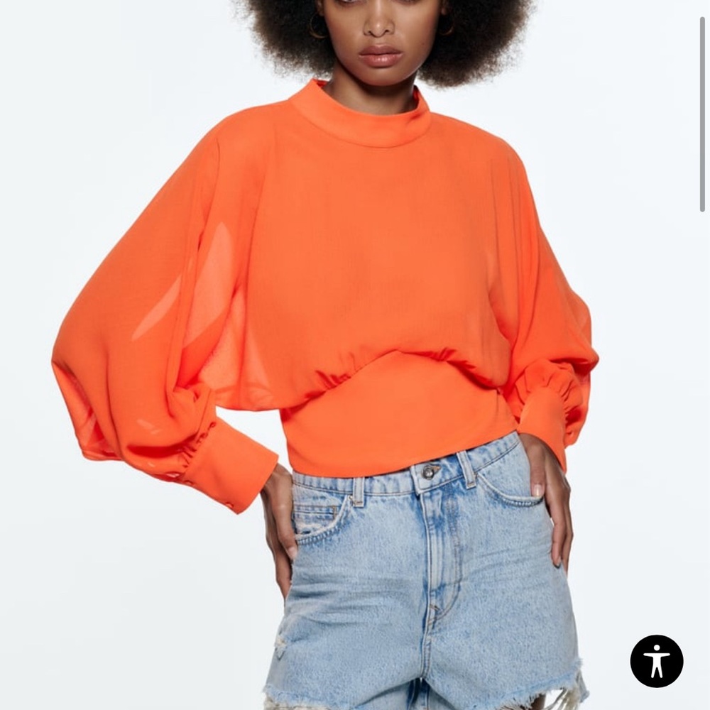 Zara fitted waist flowy top